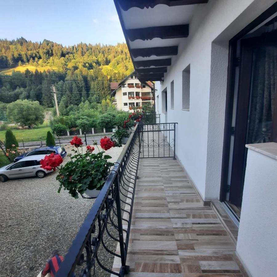 Casa Dana Olteanu Hotell Moeciu De Sus Eksteriør bilde